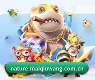 五个功能入口,赛程查询路径更短 - maiqiuwang