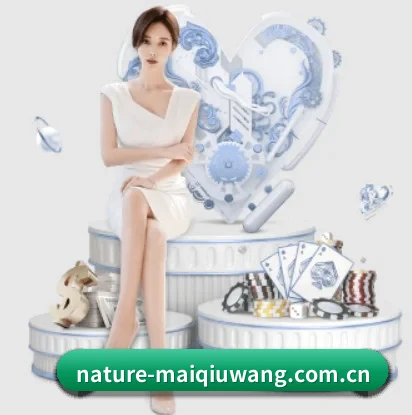 平台愿景 - 长期内容价值积累(maiqiuwang)
