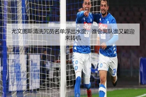 img_1781457906200_137_0_397.jpg（maiqiuwang）